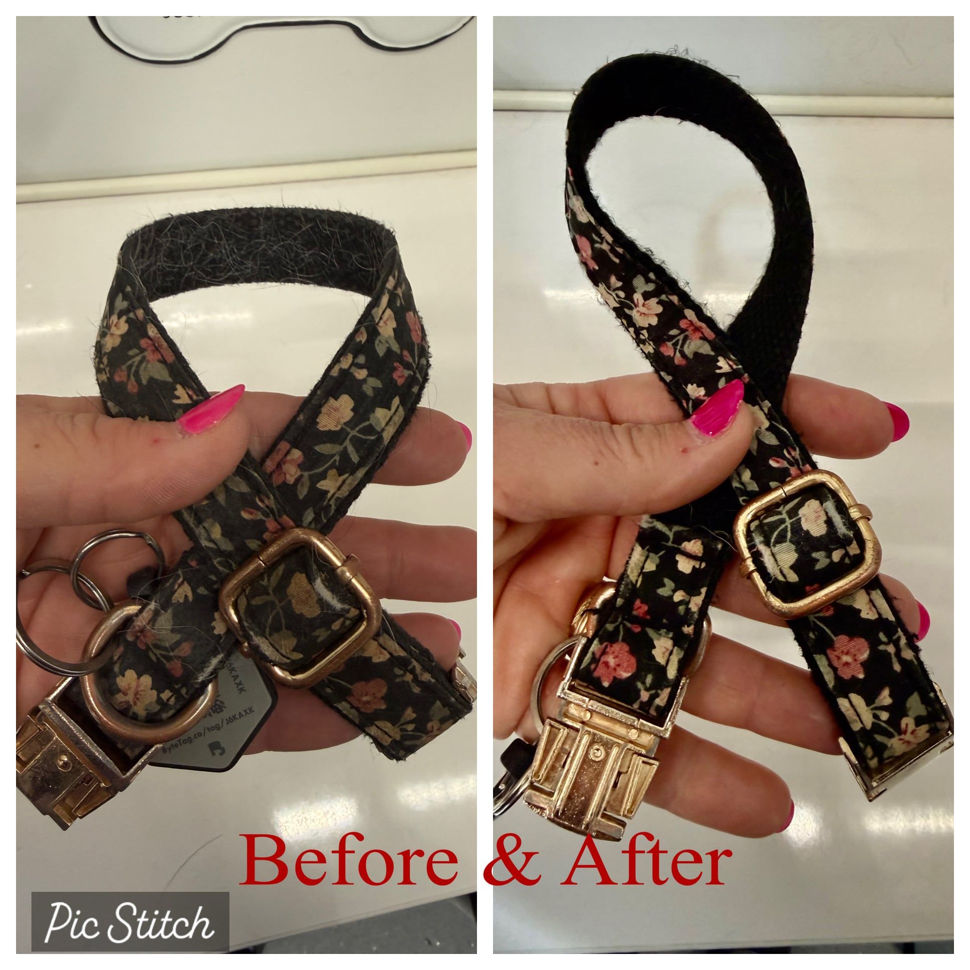 Collar clean before and after: a black floral collar's pattern bright and visible again after a deep clean