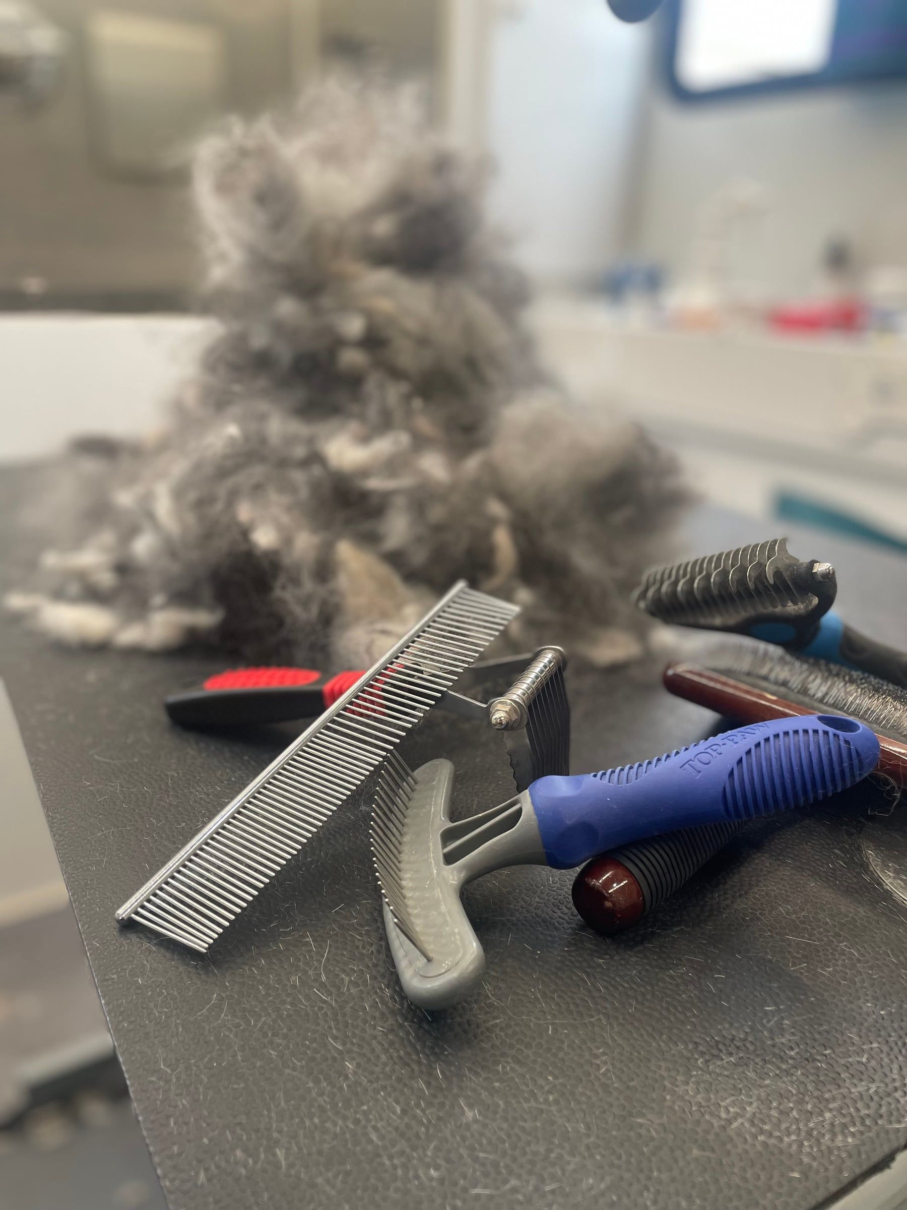A mountain of shed undercoat next to the combs and rakes that removed it - one deshedding session's worth